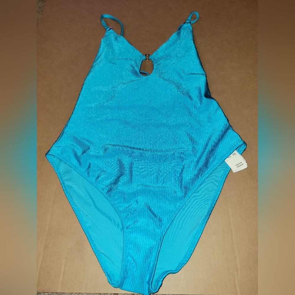 Aerie Shine Rib Full Coverage One Piece Swimsuit